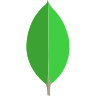 mongodb